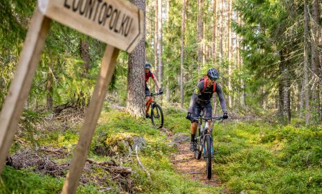 maastopyöräilijät metsäpolulla pyöräilemässä
